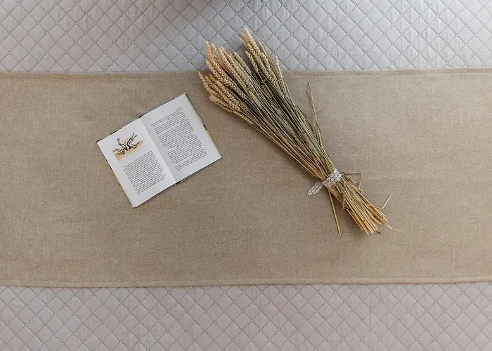 Sunshine Naxos Apartamento Pláka